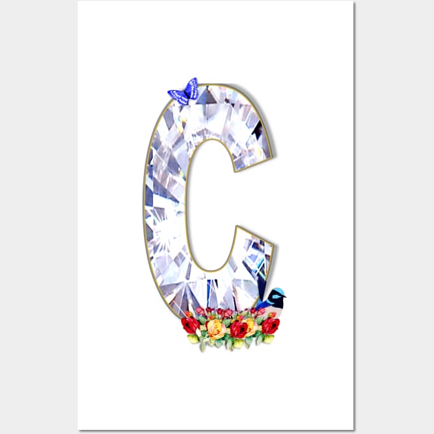 Name Initial Letter C and Fairy Wren Bird Wall Art by KC Morcom aka KCM Gems n Bling aka KCM Inspirations